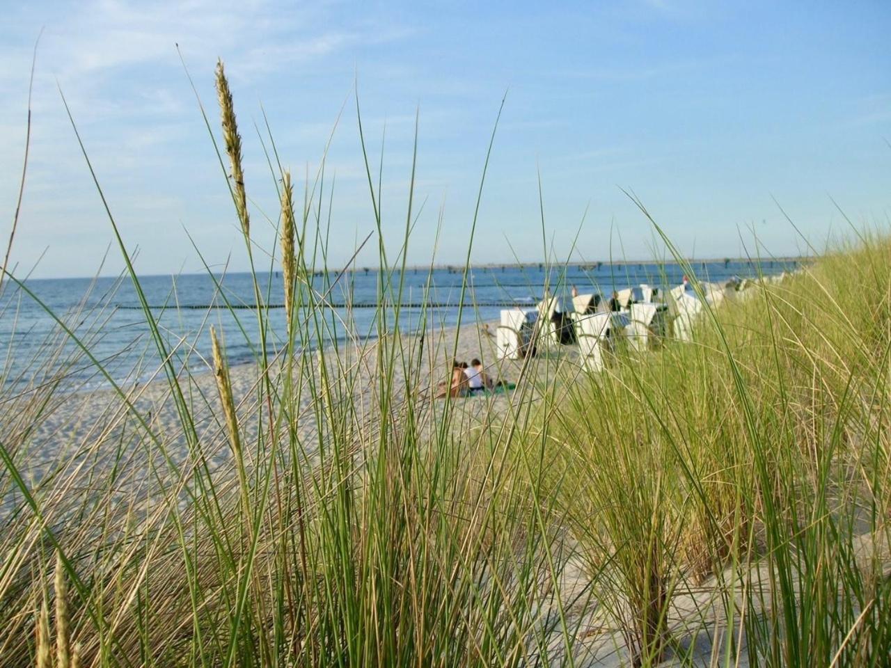 discovAIR Graal Müritz- Apartment Johanna- Strandnah mit Netflix Exterior foto